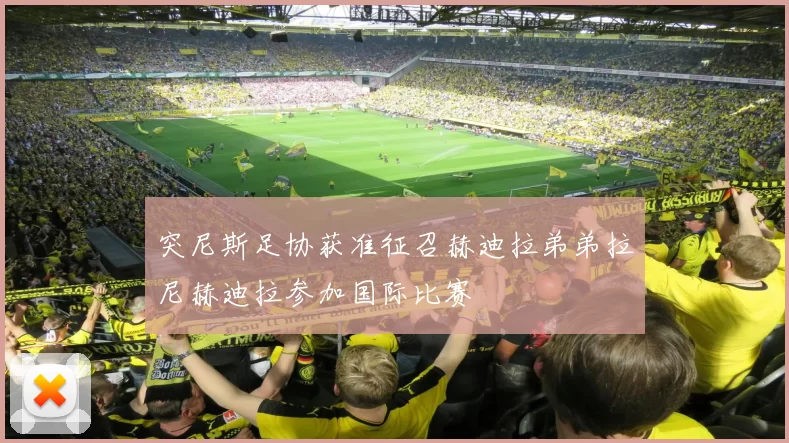 突尼斯足协获准征召赫迪拉弟弟拉尼赫迪拉参加国际比赛