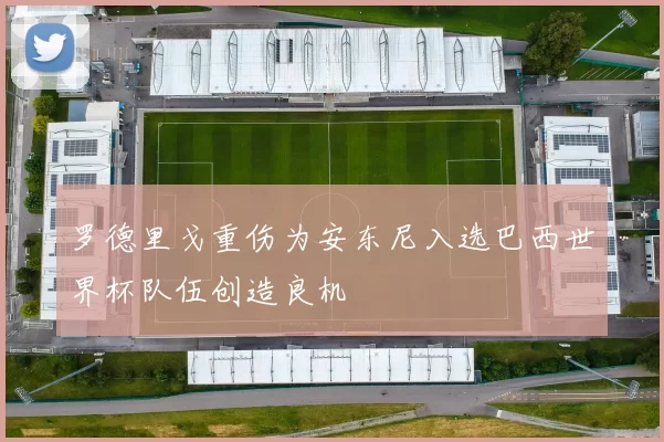 罗德里戈重伤为安东尼入选巴西世界杯队伍创造良机