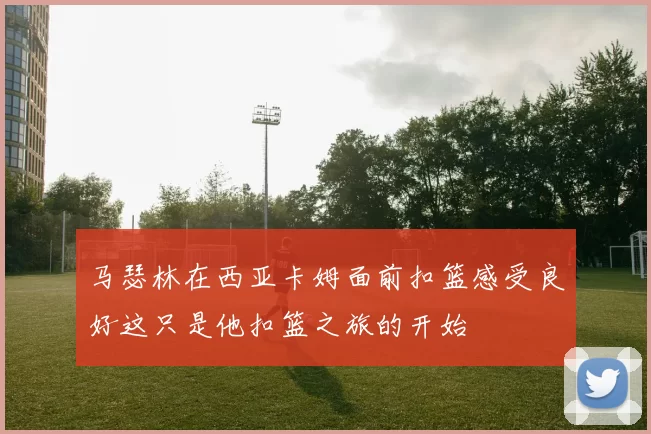 马瑟林在西亚卡姆面前扣篮感受良好这只是他扣篮之旅的开始