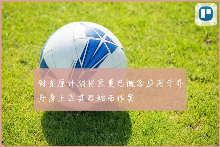 耐克原计划将黑曼巴概念应用于乔丹身上因其恐蛇而作罢